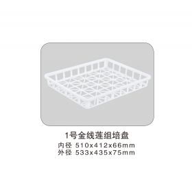 1號(hào)金線蓮組培盤(pán)